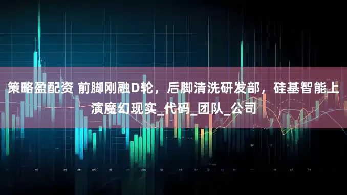 策略盈配资 前脚刚融D轮，后脚清洗研发部，硅基智能上演魔幻现实_代码_团队_公司