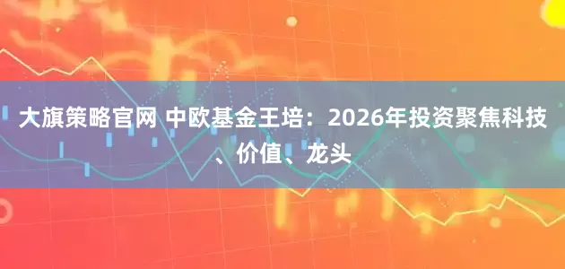 大旗策略官网 中欧基金王培:2026年投资聚焦科技、价值、龙头