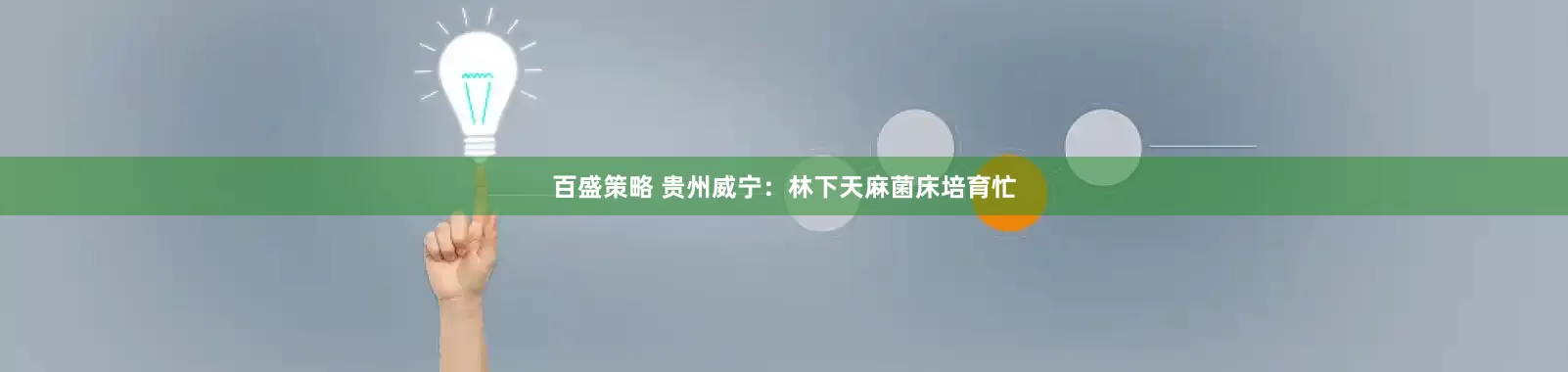 百盛策略 贵州威宁:林下天麻菌床培育忙